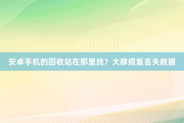 安卓手机的回收站在那里找？大肆规复丢失数据