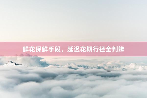 鲜花保鲜手段，延迟花期行径全判辨